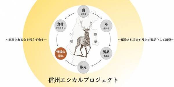 「逢初レザー」が伝統工芸の技術により誕生！使用商品を9月28日よりながの東急百貨店に本販売開始　「逢初レザー」「杏染革」の2つの鹿革が作り出す世界観