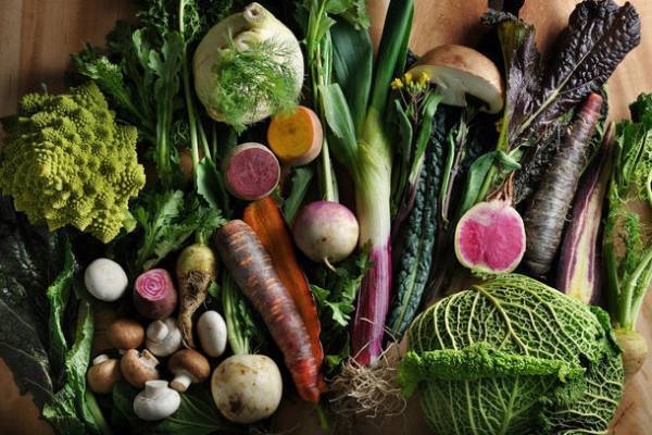 琵琶湖近くの城下町・長浜のホテル「和乃リトリートひといき」で心身和らぐリトリートステイにぴったりの“オールインクルーシブプラン”を8月10日(木)より提供開始