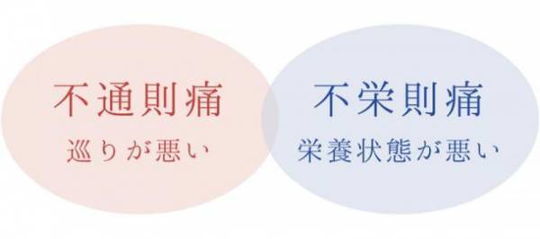 誠心堂グループにおける婦人科の新規相談数5％増　女性の生涯の健康を支える：中医学で月経困難症・更年期対策