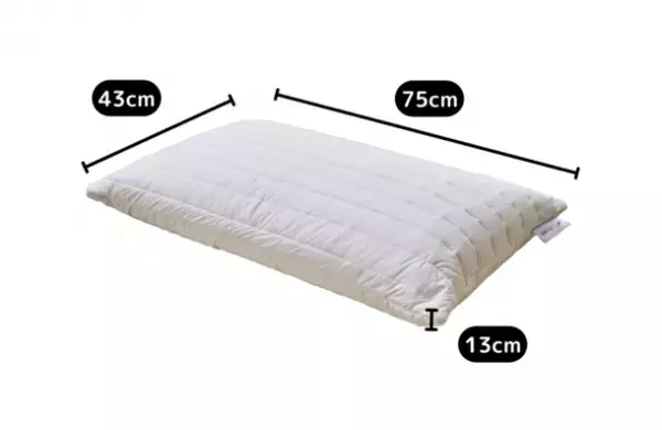 寝具ブランド「プリマレックス」公式オンラインショップがオープン　「4層構造」で寝姿勢、寝返りの質をあげるマットレスが新登場