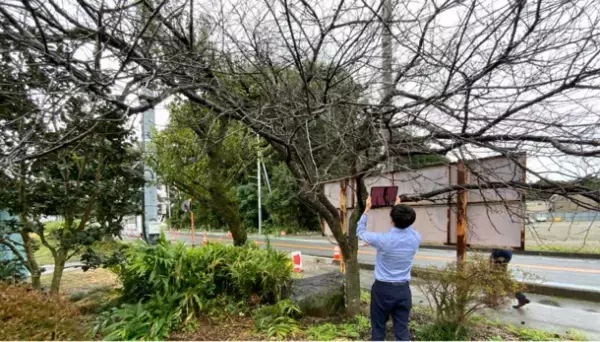 形状や樹種に個性がある自然木をデジタルファブリケーションでアップサイクル　SEKISUI HOUSE-KUMA LAB の新たな取り組み