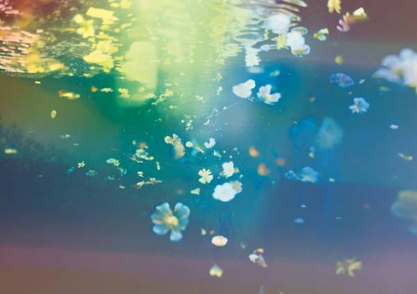 北海道余市ワイナリーにて“AIを使ったアートの世界”を表現した『miyatanouen(ミヤタノウエン)展』を9月6日～11月5日開催