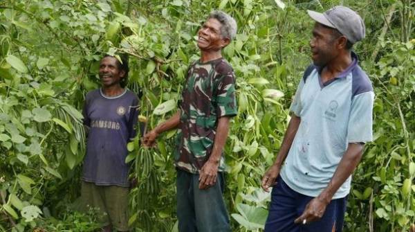 関西初！バニラが主役のスイーツ＆デザートカフェを兵庫県西宮市の夙川に8月20日(日)グランドオープン！