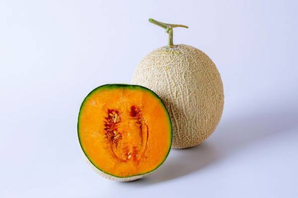 「道の駅サーモンパーク千歳」8月26日(土)リニューアルグランドオープン　北海道産の野菜・果物・加工品を中心に、日本全国からもおいしものが集合！オリジナル商品も多数