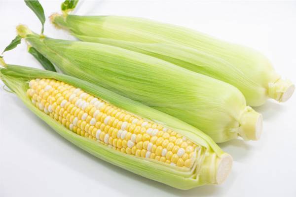 「道の駅サーモンパーク千歳」8月26日(土)リニューアルグランドオープン　北海道産の野菜・果物・加工品を中心に、日本全国からもおいしものが集合！オリジナル商品も多数