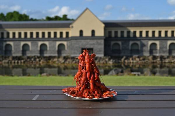 福島県内美術館初の試み！諸橋近代美術館、作品や文化を次世代に継承していくためクラウドファンディングを9月1日に開始