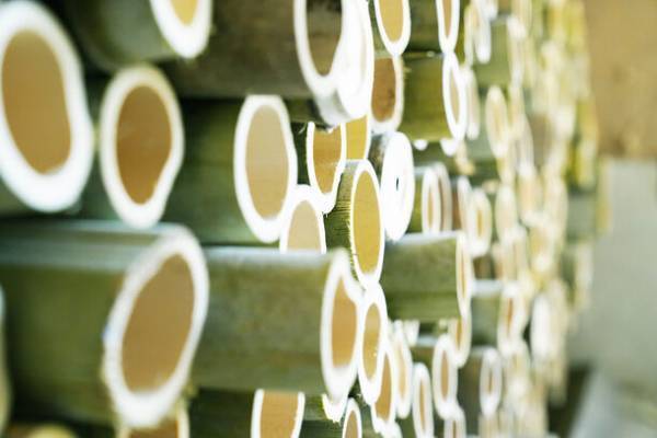 竹から生まれたサスティナブルな無添加洗剤「LA LESSIVE AU BAMBOU(ラレシーブオーバンブー)」創業10周年記念 サンクスキャンペーンを9/17(日)より開催