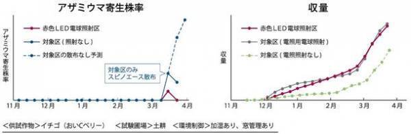 光の力で病害虫や育苗にアプローチ農業分野の省人化と減農薬、生産性向上に貢献　HotaluXが農業用照明市場に再参入