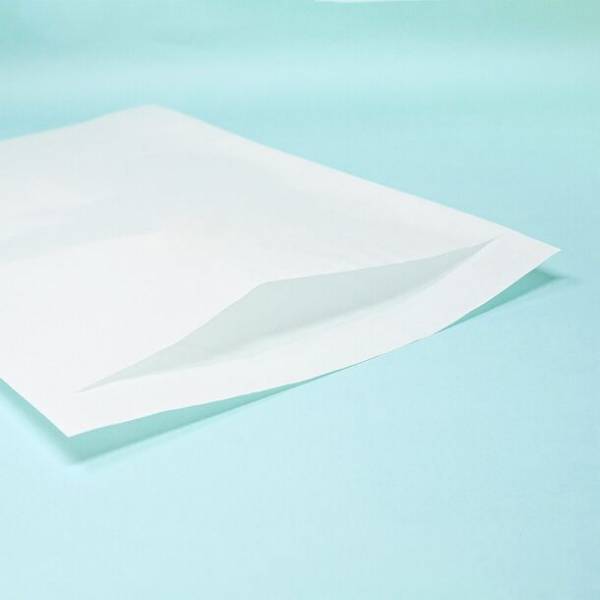 脱プラに貢献するグラシン紙だけで作られた半透明のグラスパック平袋「角2・長3封筒サイズ」を8月29日に発売