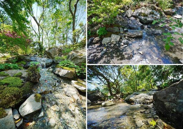 山の中にいるような“壮大なスケール”の庭づくり