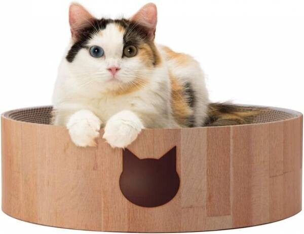 「猫とあなたに幸せな暮らし」を提供する、猫の生活用品ブランド“猫壱”が、猫の一生に寄り添える商品開発体制を目指し、MOON-Xと統合
