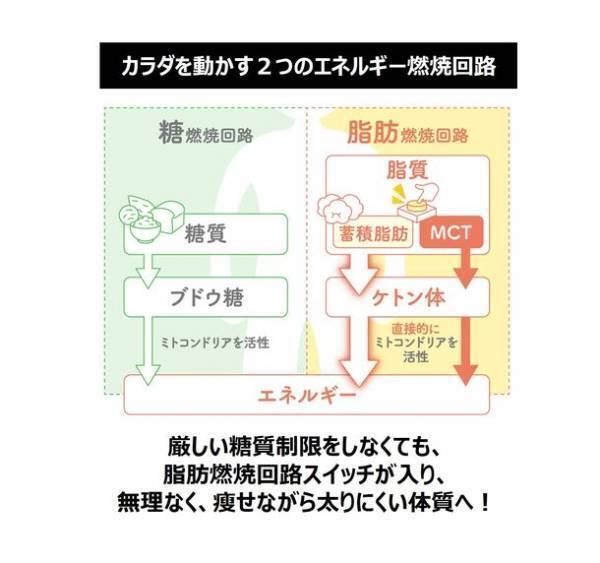 最強の油「MCTオイル」脂肪燃焼体質に導く正しい使い方とは？オススメレシピをサイトで公開