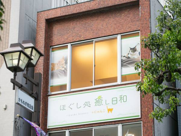 日本初！マッサージと保護猫のにゃんこセラピーを同時に受けられる「ほぐし処　癒し日和＋にゃんこ行徳店」を9月1日にオープン