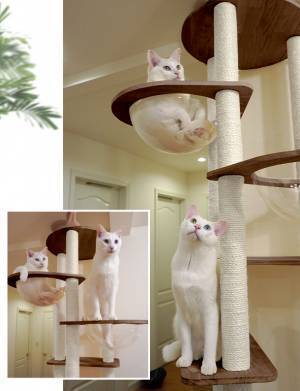 お客様のDIYから誕生！木目が美しい日本製キャットタワーが新発売！