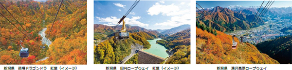 2023年秋の国内旅行動向今年は本格的な大自然志向「絵葉書のような紅葉に出会う」奥越後が人気