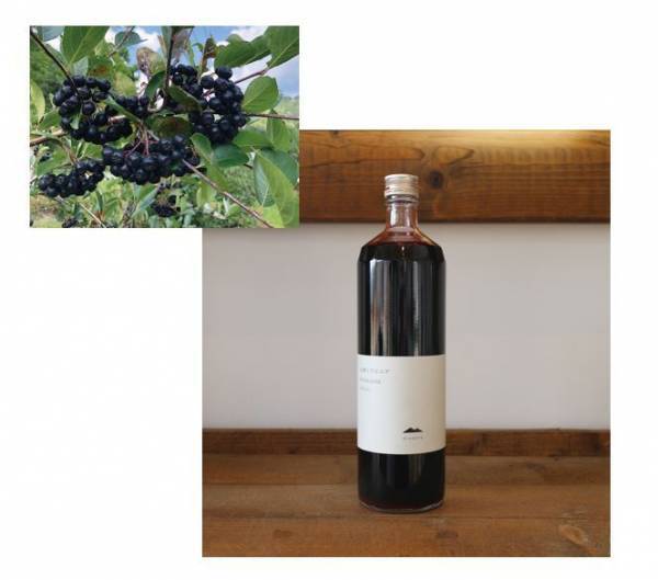 大阪エリア最速開催！秋の大北海道展