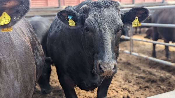 大阪エリア最速開催！秋の大北海道展