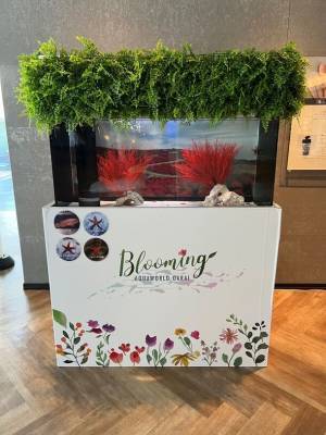 季節を彩る花と魚たちのコラボレーション！『ブルーミング アクアワールド・大洗～オータム～』紅葉を前に早くもコキア水槽が登場！