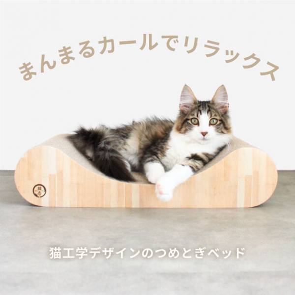 猫にフィットする“寝てよし、研いでよし”の2WAYタイプ　つめとぎベッドシリーズに「バリバリベッドカール」が新登場