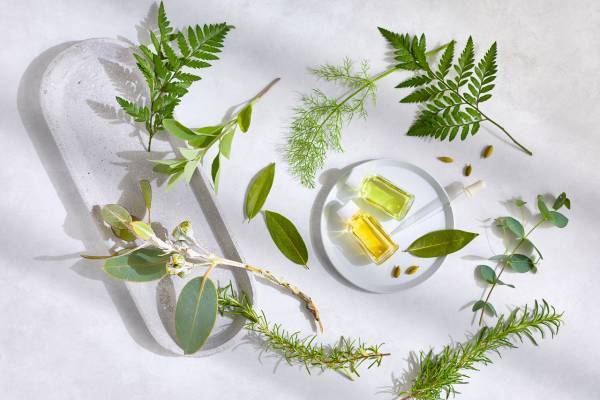 グランフロント大阪の「まちびらき」10周年記念イベント第2弾GRAND THANKS! 10th Anniversary「THE(ザ) GRAND(グラン) TSUKIMI(ツキミ)」