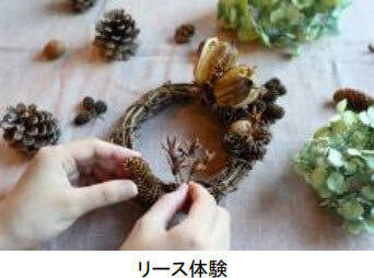 六甲高山植物園 市街地より一足早い秋の訪れ紅葉見頃 10月中旬～11月中旬ライトアップも開催！