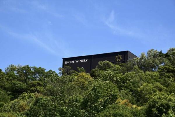 オール高知県産ワインの醸造スタート　今年も10月3日(とさの日)に新酒解禁！ブドウ栽培で耕作放棄地を救う石灰会社のワイン造りへの挑戦