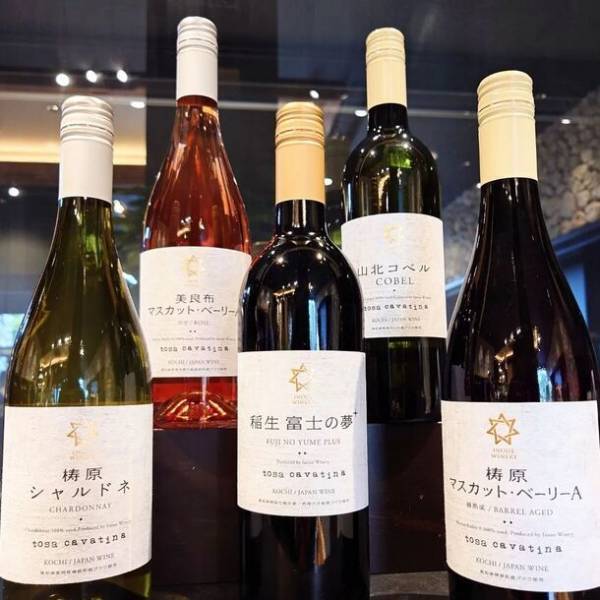 オール高知県産ワインの醸造スタート　今年も10月3日(とさの日)に新酒解禁！ブドウ栽培で耕作放棄地を救う石灰会社のワイン造りへの挑戦