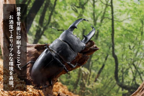 お気に入りの昆虫の魅力を引き立たせる昆虫飼育用テラリウムケースの予約販売を開始