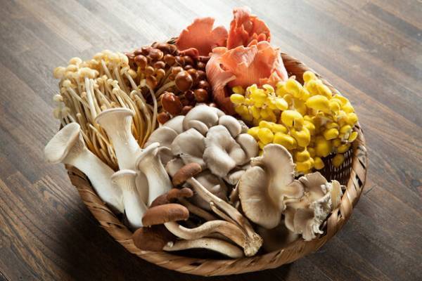 今年で10周年！感謝を込めてお得なイベントや限定商品をご用意　太陽のマルシェ9月のテーマは「10th Anniversary マルシェ」