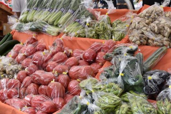 今年で10周年！感謝を込めてお得なイベントや限定商品をご用意　太陽のマルシェ9月のテーマは「10th Anniversary マルシェ」