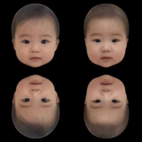 赤ちゃんの「かわいさ」は逆さになっても分かる　学術誌「Perception」のオンライン早期公開版で研究成果を公開