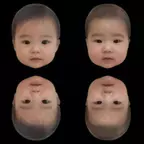 赤ちゃんの「かわいさ」は逆さになっても分かる　学術誌「Perception」のオンライン早期公開版で研究成果を公開
