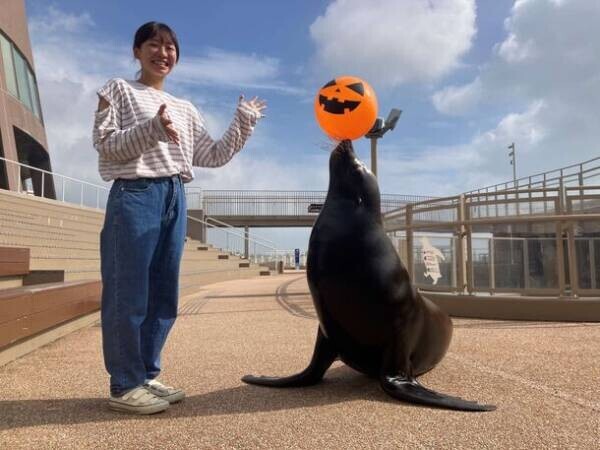 秋色に染まるアクアワールド・大洗で水族館の生き物たちと楽しめるイベント「AUTUMN AQUAWORLD 2023」を開催！