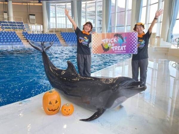 秋色に染まるアクアワールド・大洗で水族館の生き物たちと楽しめるイベント「AUTUMN AQUAWORLD 2023」を開催！