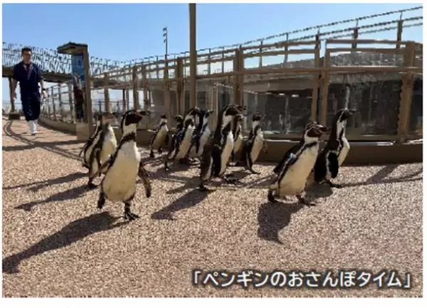 秋色に染まるアクアワールド・大洗で水族館の生き物たちと楽しめるイベント「AUTUMN AQUAWORLD 2023」を開催！