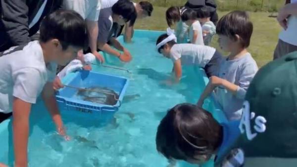 高校生以下の子ども無料！愛知県の大自然にて親子で楽しむ体験型食育イベント「虹だんらん食堂in篠島」を9月17日に開催