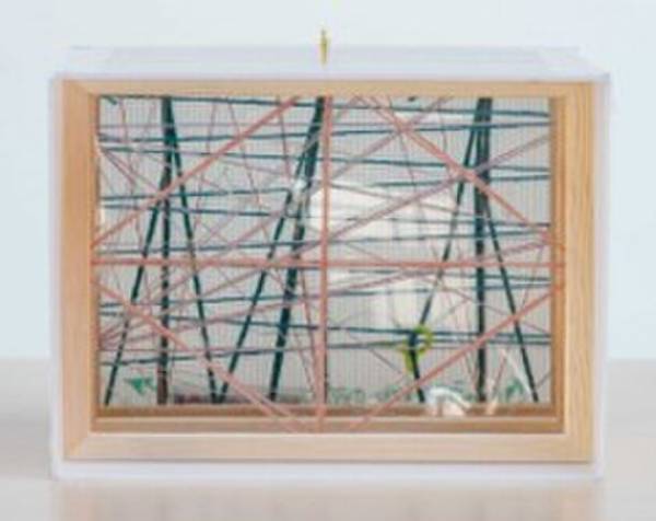 誰もがアーティスト！多様性に富んだ公募展を SDGsシーズン に開催