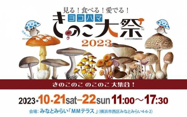 関東きのこの会オリジナルきのこトランプをヨコハマきのこ大祭2023の会場で200部限定発売！