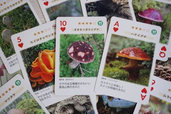 関東きのこの会オリジナルきのこトランプをヨコハマきのこ大祭2023の会場で200部限定発売！