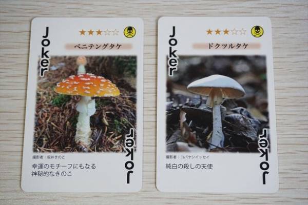 関東きのこの会オリジナルきのこトランプをヨコハマきのこ大祭2023の会場で200部限定発売！