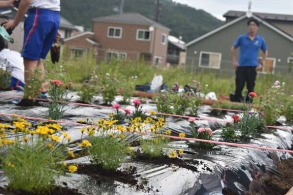 岩手県大槌町、復興に向けたSDGs花壇の植栽式を開催！高機能ソイルを活用した花壇で町を活性化