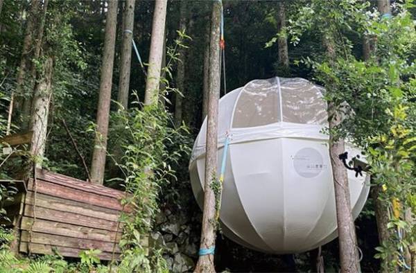 「第1回膜構造コンテスト」を開催！―テーマは「宇宙」―