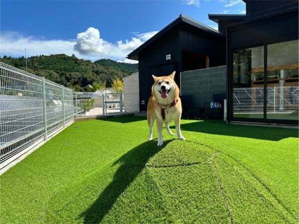滋賀県のグランピングリゾート「フューチャーリゾート」が愛犬と一緒に宿泊できるお部屋を10月からオープン