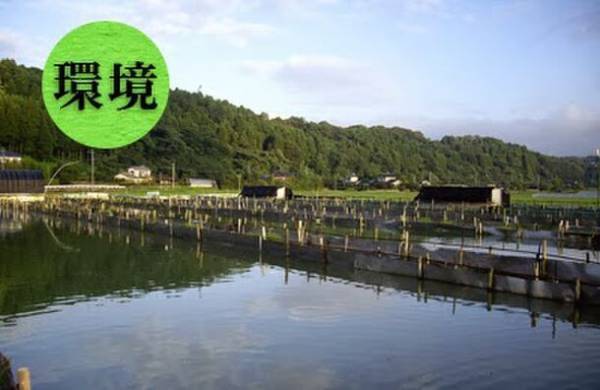 1粒に81種類の成分を配合　マイナス196度で冷凍粉砕した鮮度そのままのすっぽんサプリ『すっぽんいのちの力』　お試しタイプを10月23日(月)より販売開始