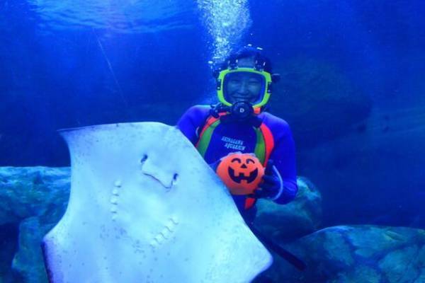 「水族館で、筋肉で、ハロウィン？？」昨年ネットをザワつかせたハロウィンイベントが甦って帰ってきた！？しながわ水族館×GOLD’S GYM(R)　マッスルハロウィン リボーン