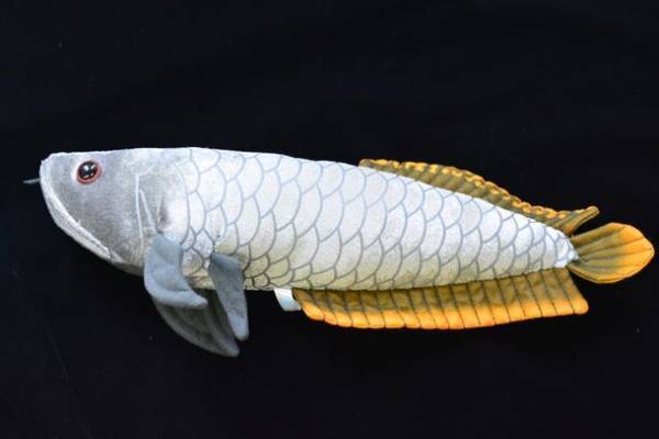 「水族館で、筋肉で、ハロウィン？？」昨年ネットをザワつかせたハロウィンイベントが甦って帰ってきた！？しながわ水族館×GOLD’S GYM(R)　マッスルハロウィン リボーン