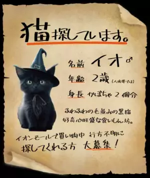 関西・北陸で本格謎解きイベント「イオンモールハロウィン謎解き-黒猫のイオを探せ-」を10月6日(金)～10月15日(日)に開催！