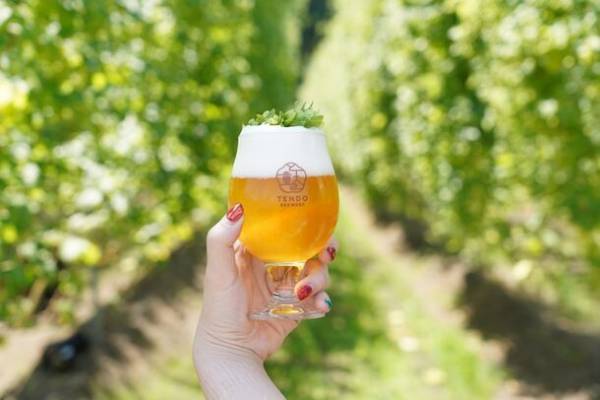 山形県白鷹産のフレッシュホップビール解禁イベント『天童温泉オクトーバーフェスト・キックオフパーティー』　9月30日・10月1日に湯坊いちらくにて開催！