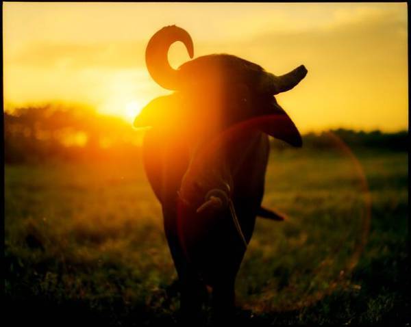 存在と向き合い、沈黙の豊穣を慈しむ『齋藤陽道 絶対』展BAG-Brillia Art Gallery-にて10月7日(土)より開催