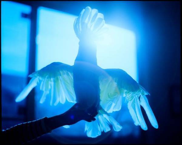 存在と向き合い、沈黙の豊穣を慈しむ『齋藤陽道 絶対』展BAG-Brillia Art Gallery-にて10月7日(土)より開催